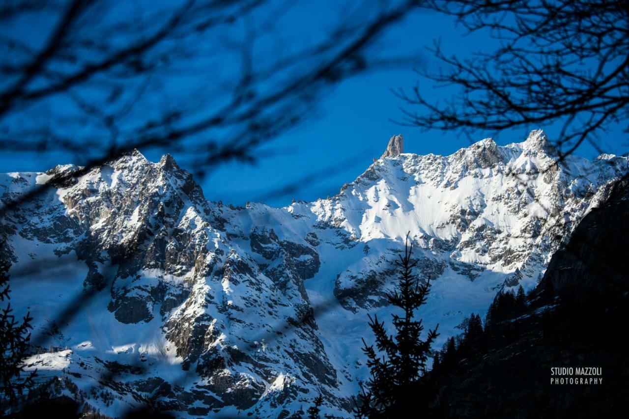 Aosta Quality Apartments ภายนอก รูปภาพ